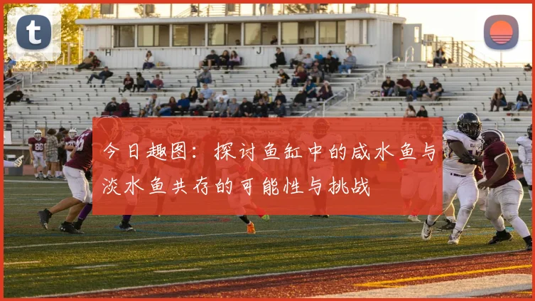 今日趣图：探讨鱼缸中的咸水鱼与淡水鱼共存的可能性与挑战