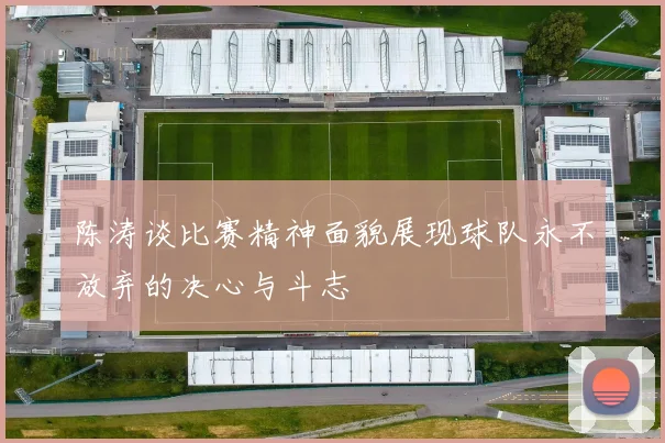 陈涛谈比赛精神面貌展现球队永不放弃的决心与斗志