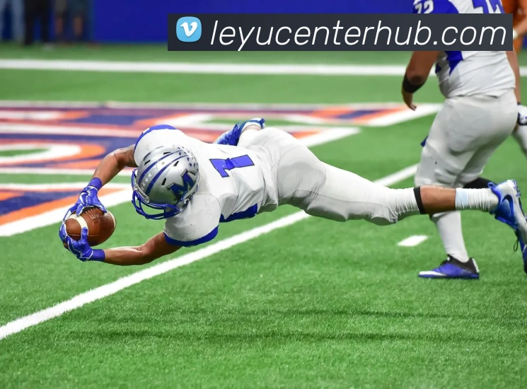 乐鱼体育APP 封面图